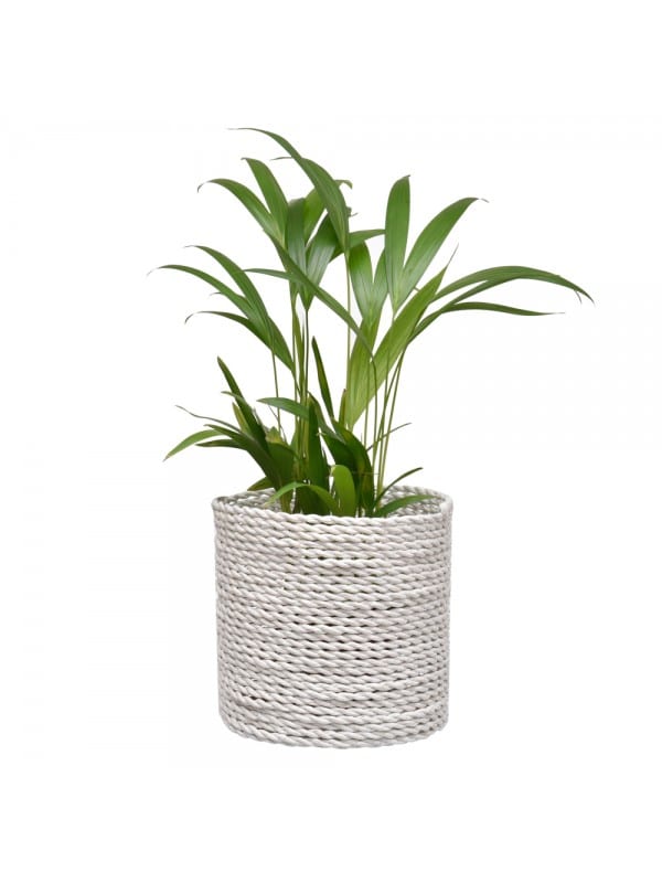 Cachepot Reto - P - Imagem 2